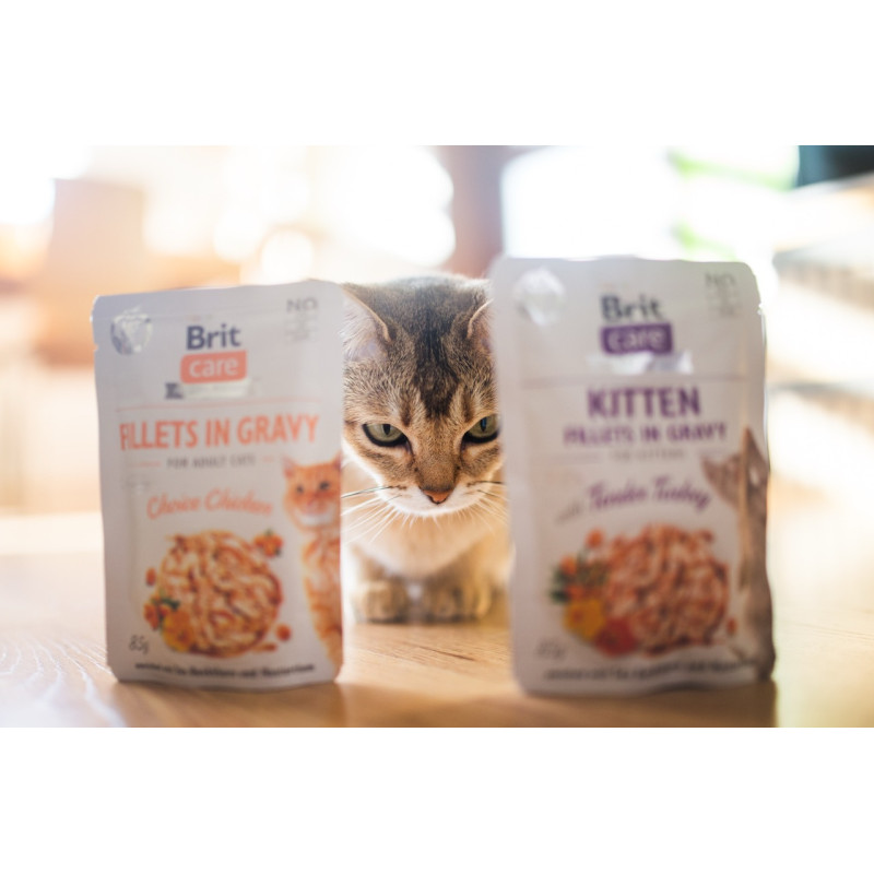 Brit Care Cat Fillets In Gravy влажный корм для котят с индейкой и курицей, 85 гр - фото 4