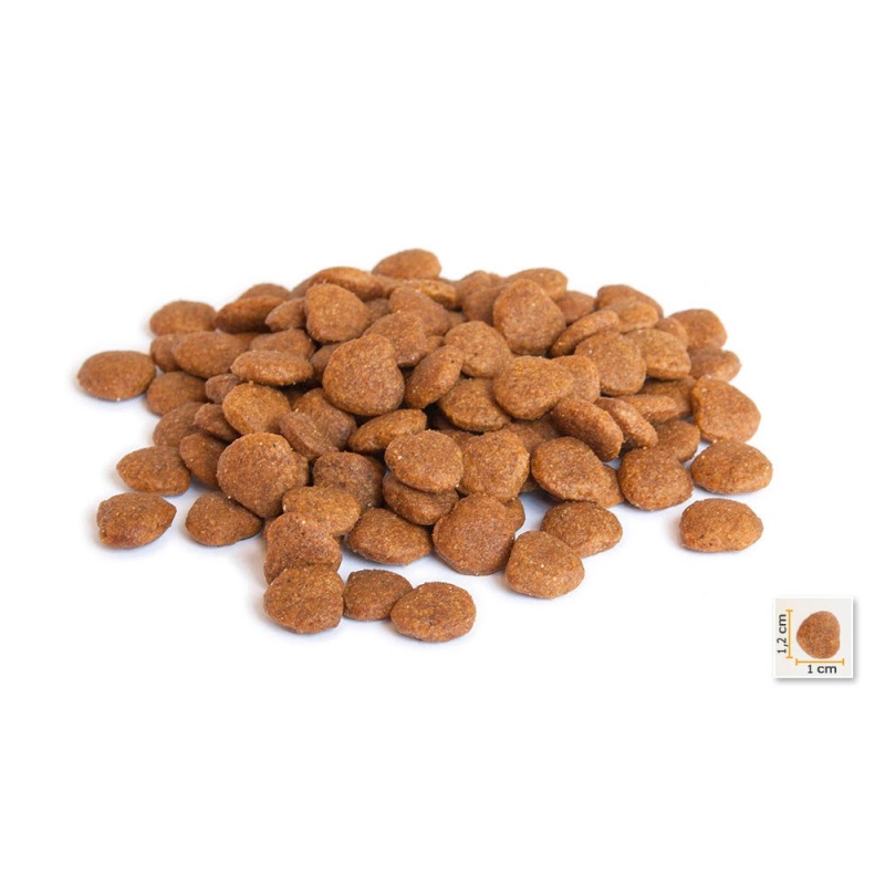 BonaCibo Cat Adult Light & Sterilized сухий корм з куркою для стерилізованих котів, 5 кг - фото 2
