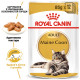 Royal Canin Maine Coon Adult влажный корм для котов породы мейн-кун 85 гр - фото 2