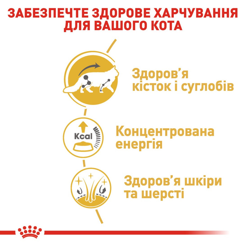 Royal Canin Maine Coon Adult влажный корм для котов породы мейн-кун 85 гр - фото 8