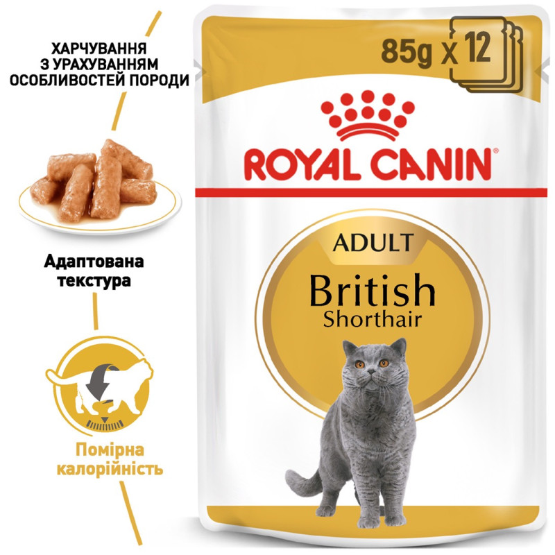 Royal Canin British Shorthair Adult влажный корм для котов британской породы 85 гр - фото 2