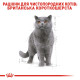 Royal Canin British Shorthair Adult влажный корм для котов британской породы 85 гр - фото 4