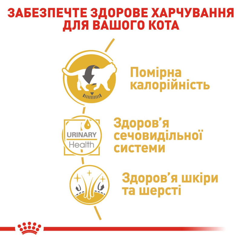 Royal Canin British Shorthair Adult влажный корм для котов британской породы 85 гр - фото 8