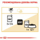 Royal Canin British Shorthair Adult влажный корм для котов британской породы 85 гр - фото 12