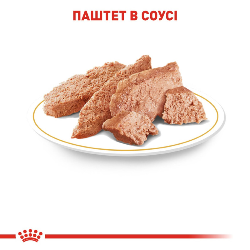 Royal Canin Chihuahua Adult влажный корм для собак породы чихуахуа 85 гр - фото 6
