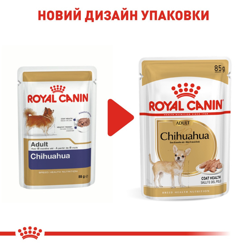 Royal Canin Chihuahua Adult влажный корм для собак породы чихуахуа 85 гр - фото 10