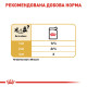 Royal Canin Chihuahua Adult влажный корм для собак породы чихуахуа 85 гр - фото 12