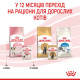 Royal Canin Kitten Loaf влажный корм для котят всех пород 85 гр - фото 14