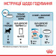 Royal Canin Mini Puppy влажный корм для щенят малых пород 85 гр - фото 10
