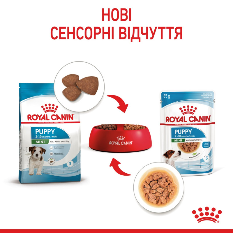 Royal Canin Mini Puppy влажный корм для щенят малых пород 85 гр - фото 12