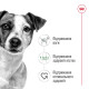 Royal Canin Mini Adult влажный корм для собак малых пород 85 гр - фото 2