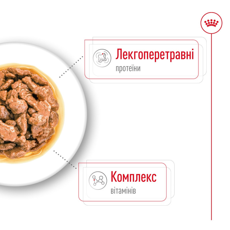 Royal Canin Mini Adult влажный корм для собак малых пород 85 гр - фото 4