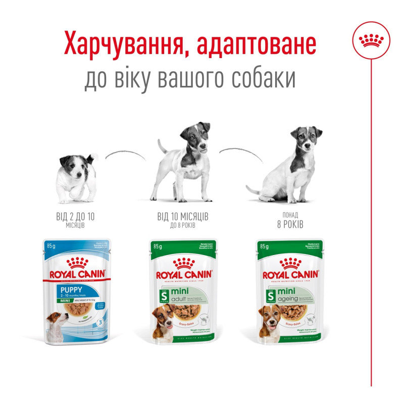 Royal Canin Mini Adult влажный корм для собак малых пород 85 гр - фото 6