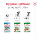 Royal Canin Mini Adult влажный корм для собак малых пород 85 гр - фото 6