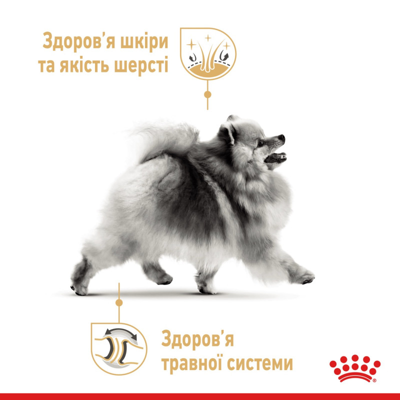 Royal Canin Pomeranian Adult влажный корм для собак породы померанский шпиц 85 гр - фото 4