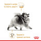 Royal Canin Pomeranian Adult влажный корм для собак породы померанский шпиц 85 гр - фото 4