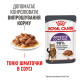 Royal Canin Appetite Control влажный корм для контроля аппетита у котов 85 гр - фото 2