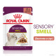 Royal Canin Sensory Smell влажный корм для привередливых котов 85 гр - фото 2