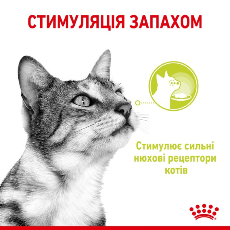 Royal Canin Sensory Smell влажный корм для привередливых котов 85 гр - фото 4