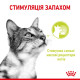 Royal Canin Sensory Smell влажный корм для привередливых котов 85 гр - фото 4