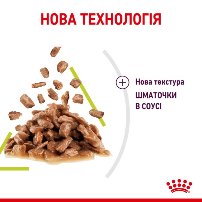 Royal Canin Sensory Smell влажный корм для привередливых котов 85 гр - фото 8