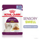 Royal Canin Sensory Smell Jelly влажный корм для привередливых котов 85 гр - фото 2