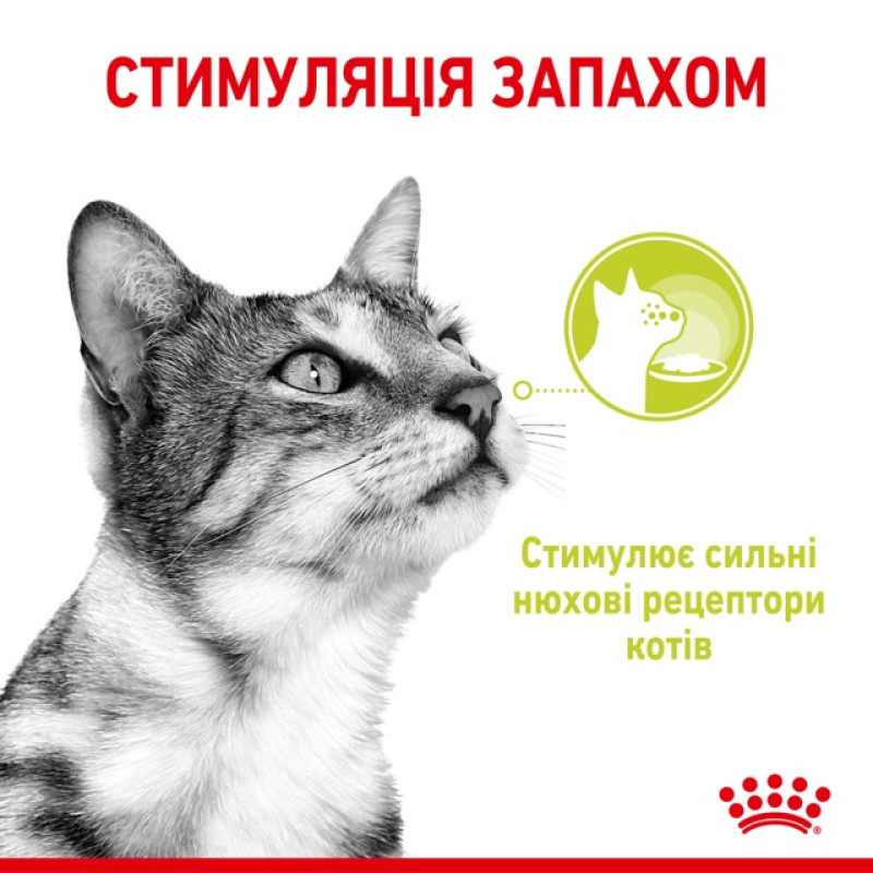 Royal Canin Sensory Smell Jelly влажный корм для привередливых котов 85 гр - фото 4