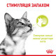 Royal Canin Sensory Smell Jelly влажный корм для привередливых котов 85 гр - фото 4