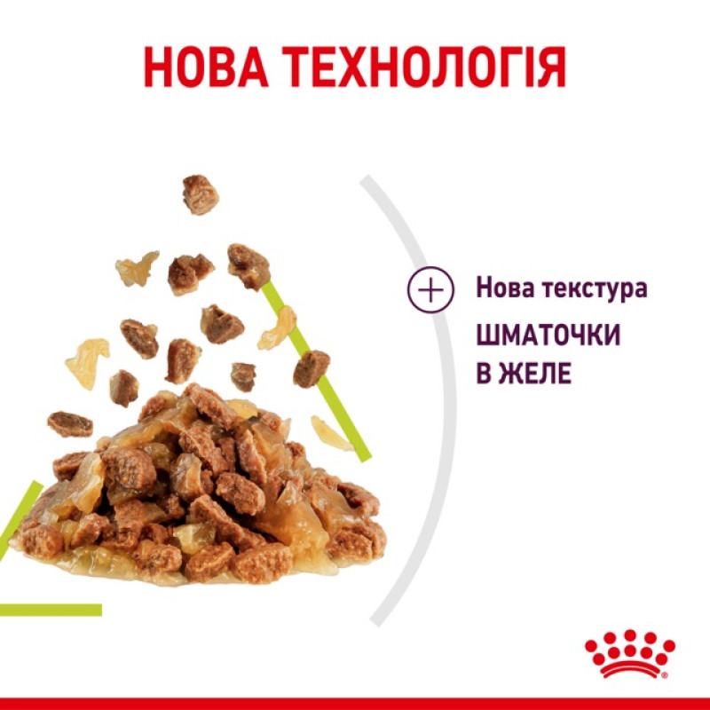 Royal Canin Sensory Smell Jelly влажный корм для привередливых котов 85 гр - фото 6