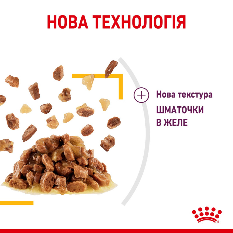 Royal Canin Sensory Taste Jelly влажный корм для привередливых котов 85 гр - фото 10