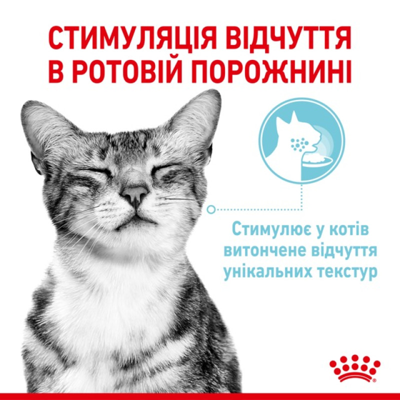 Royal Canin Sensory Feel влажный корм для привередливых котов 85 гр - фото 4