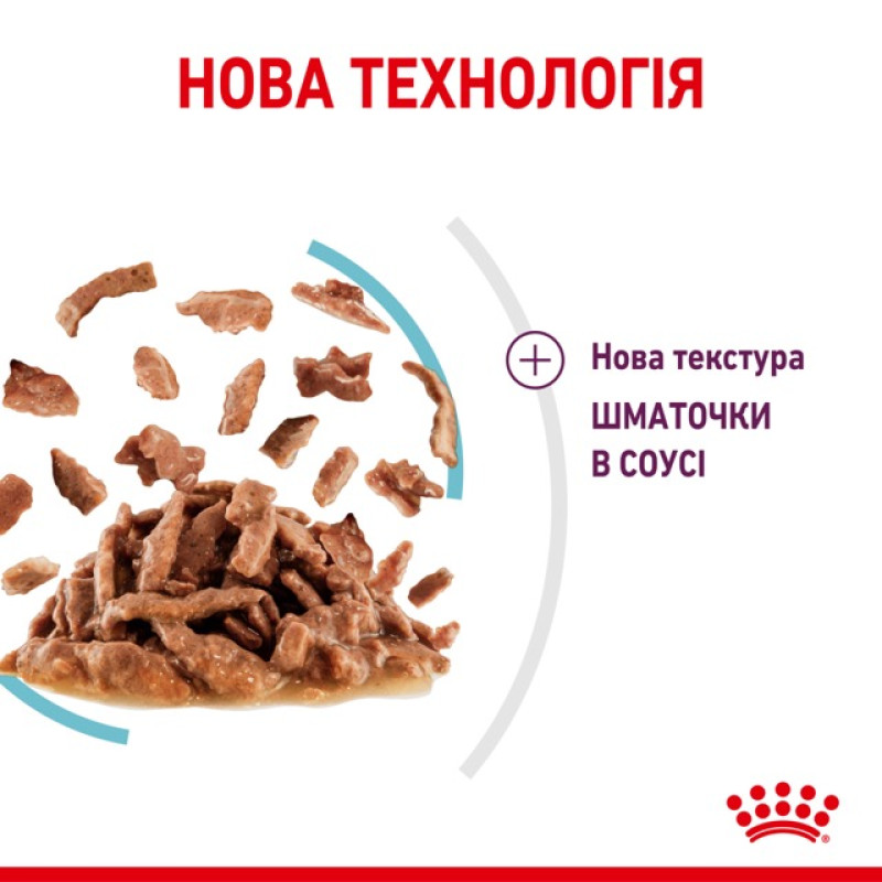 Royal Canin Sensory Feel влажный корм для привередливых котов 85 гр - фото 8