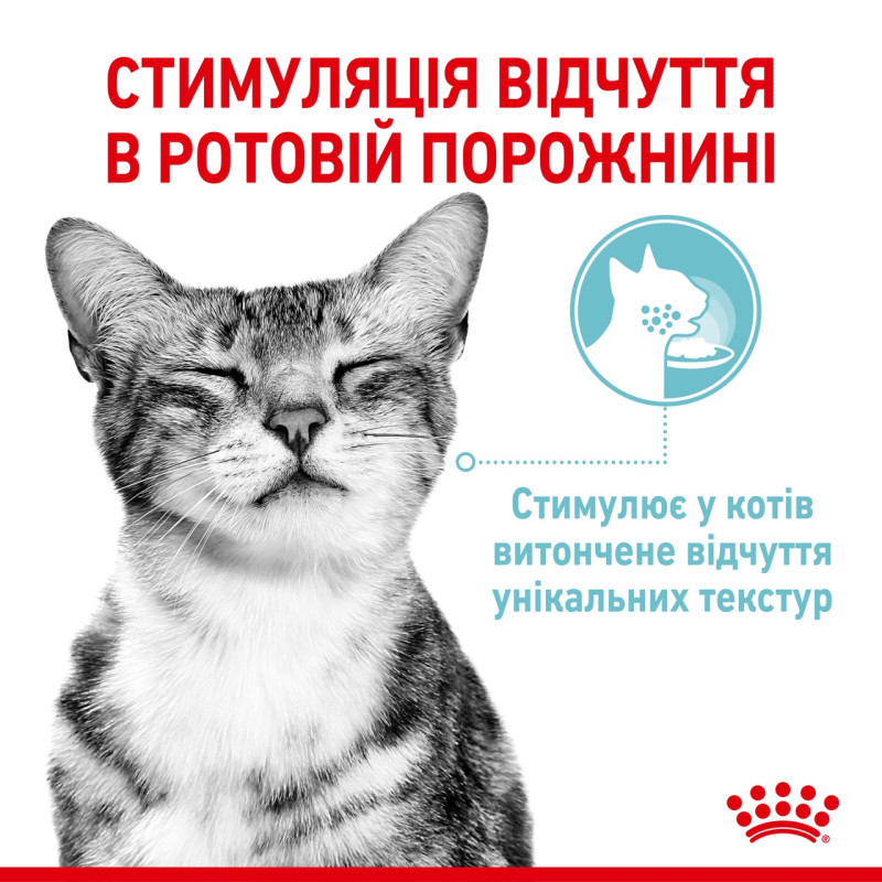 Royal Canin Sensory Feel Jelly влажный корм для привередливых котов 85 гр - фото 6
