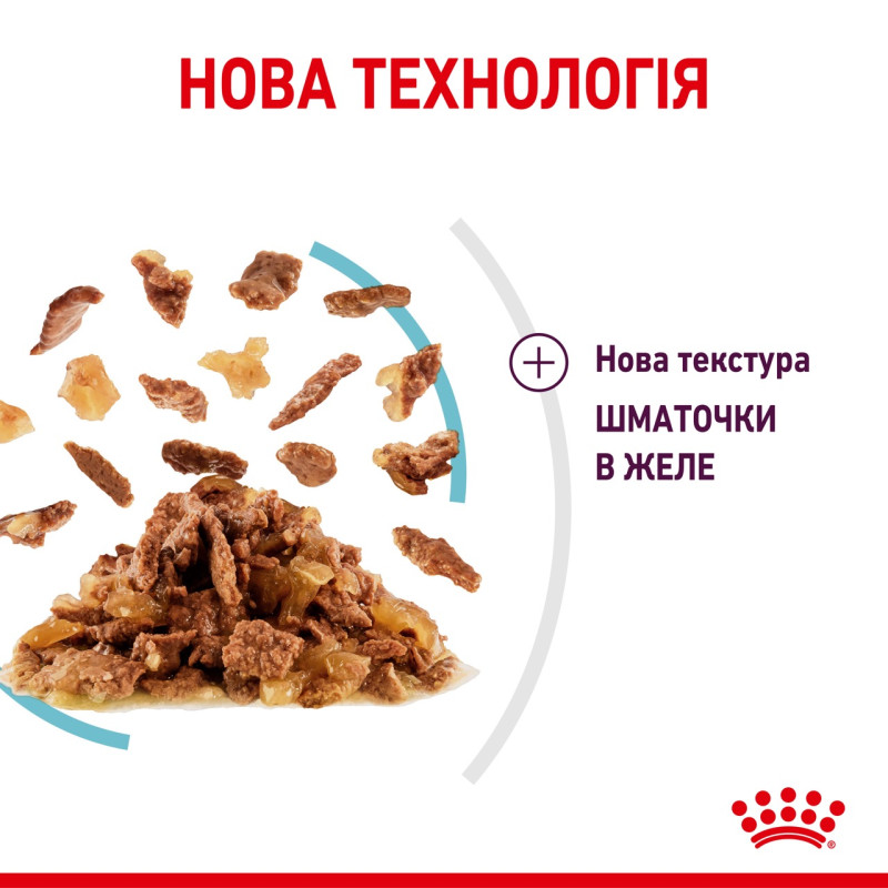 Royal Canin Sensory Feel Jelly влажный корм для привередливых котов 85 гр - фото 10