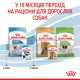 Royal Canin Puppy X-Small влажный корм для щенят мелких пород 85 гр - фото 14