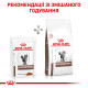 Royal Canin Gastrointestinal Feline Pouches влажный корм для котов с заболеваниями ЖКТ 85 гр - фото 12