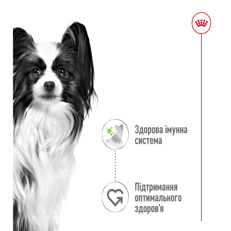 Royal Canin X-Small Adult влажный корм для взрослых собак 85 гр - фото 2