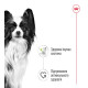 Royal Canin X-Small Adult влажный корм для взрослых собак 85 гр - фото 2