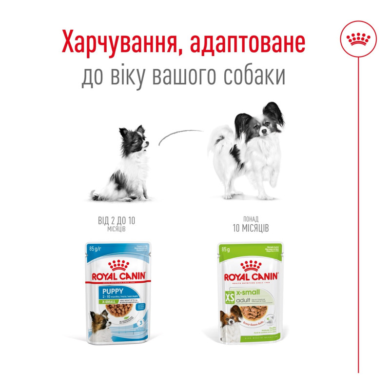 Royal Canin X-Small Adult влажный корм для взрослых собак 85 гр - фото 6