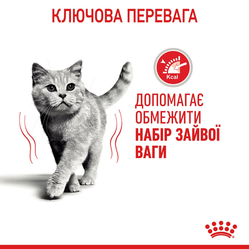 Royal Canin Light Weight Care влажный корм для снижения веса у котов 85 гр - фото 8