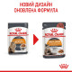 Royal Canin Hair & Skin Care влажный корм для котов с чувствительной кожей 85 гр - фото 4