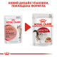 Royal Canin Instinctive влажный корм для котов 85 гр - фото 16
