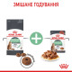 Royal Canin Digest Care влажный корм для котов с чувствительным пищеварением 85 гр - фото 6