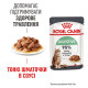 Royal Canin Digest Care влажный корм для котов с чувствительным пищеварением 85 гр - фото 8