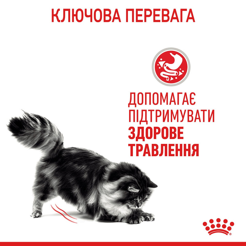 Royal Canin Digest Care влажный корм для котов с чувствительным пищеварением 85 гр - фото 12
