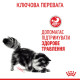 Royal Canin Digest Care влажный корм для котов с чувствительным пищеварением 85 гр - фото 12