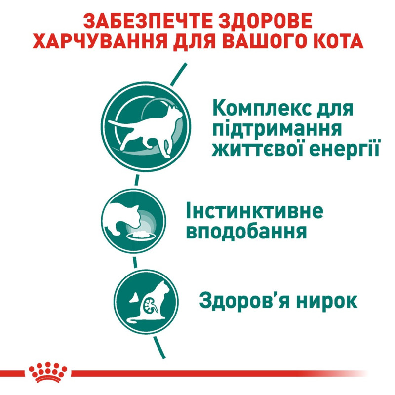 Royal Canin Instinctive 7+ влажный корм для котов пожилого возраста 85 гр - фото 8
