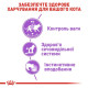 Royal Canin Sterilised влажный корм для стерилизованных котов 85 гр - фото 2