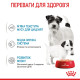 Royal Canin Starter Mousse влажный корм для первого прикорма щенят 195 гр - фото 4