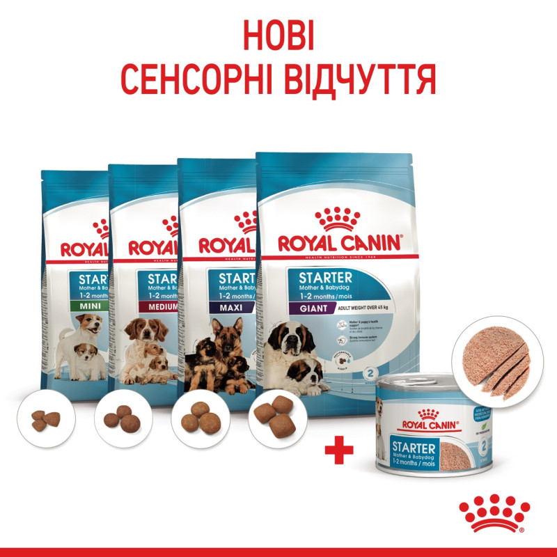 Royal Canin Starter Mousse влажный корм для первого прикорма щенят 195 гр - фото 12